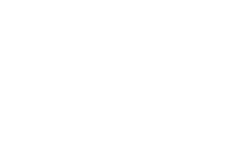 Wave Line SA Logo
